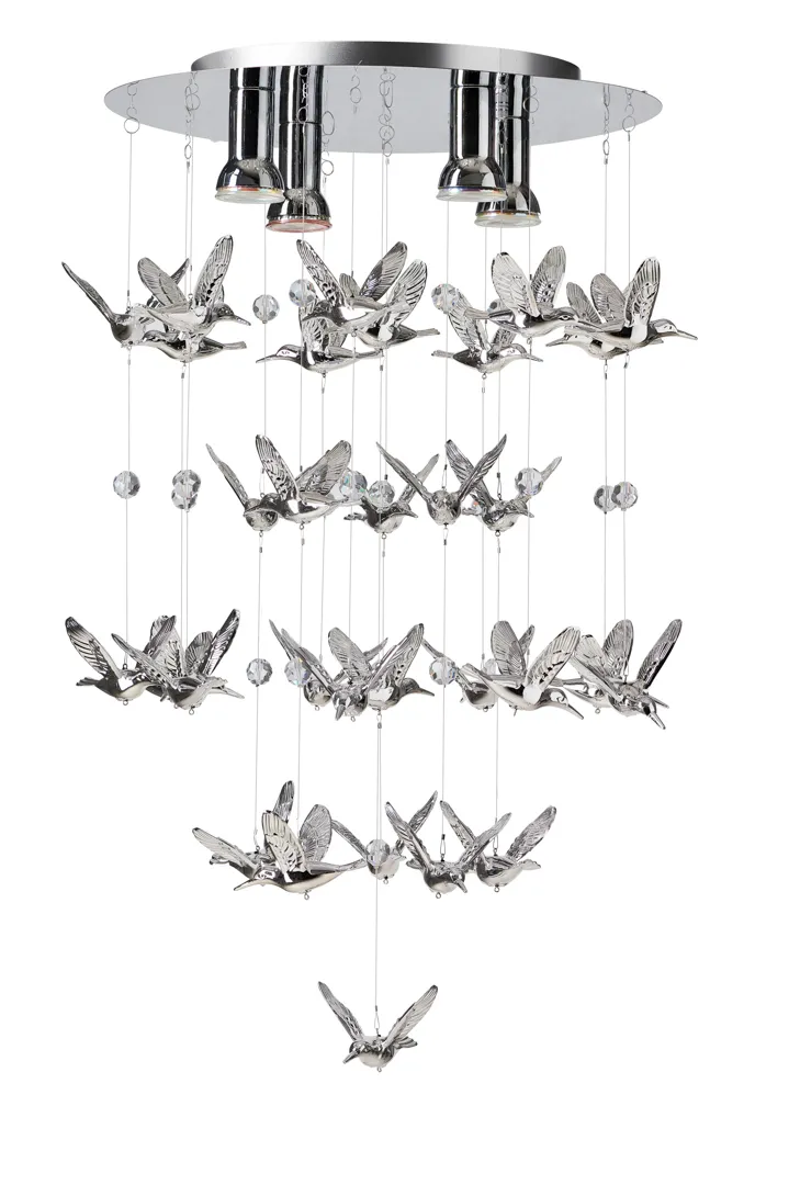 BIRDS