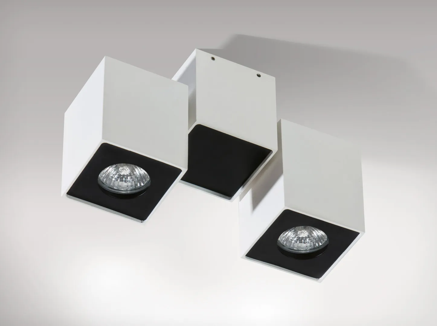 FLAVIO 2 WH/BK PLAFON