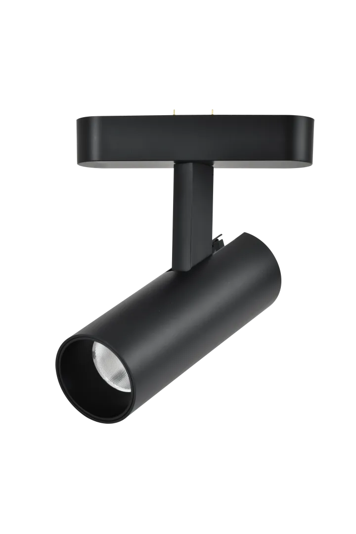 NEO SERIE 200 12W CCT BLUETOOTH BK