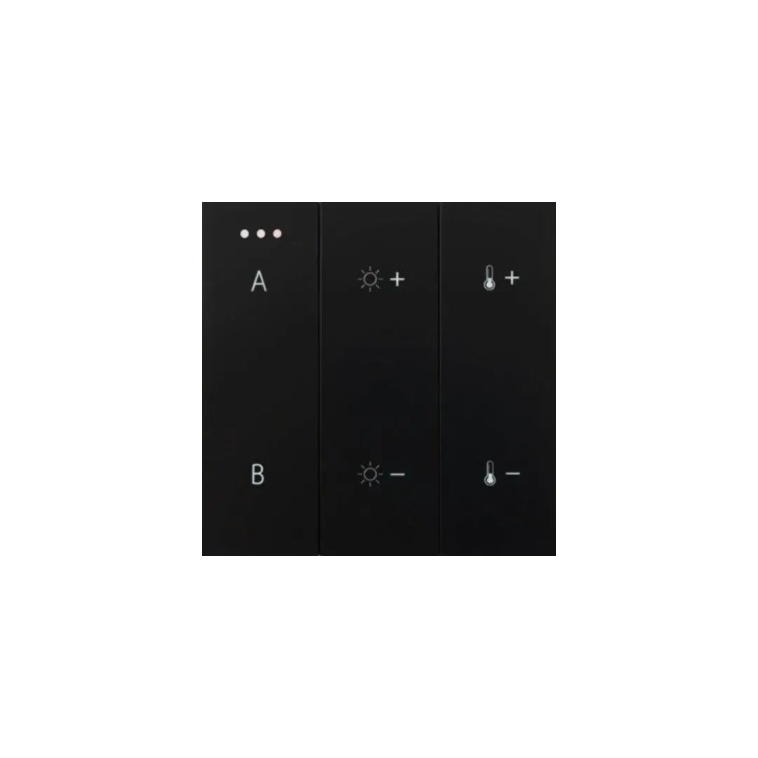 SWITCH PANEL REMOTE CONTROL 2-GROUP BLUETOOTH WH