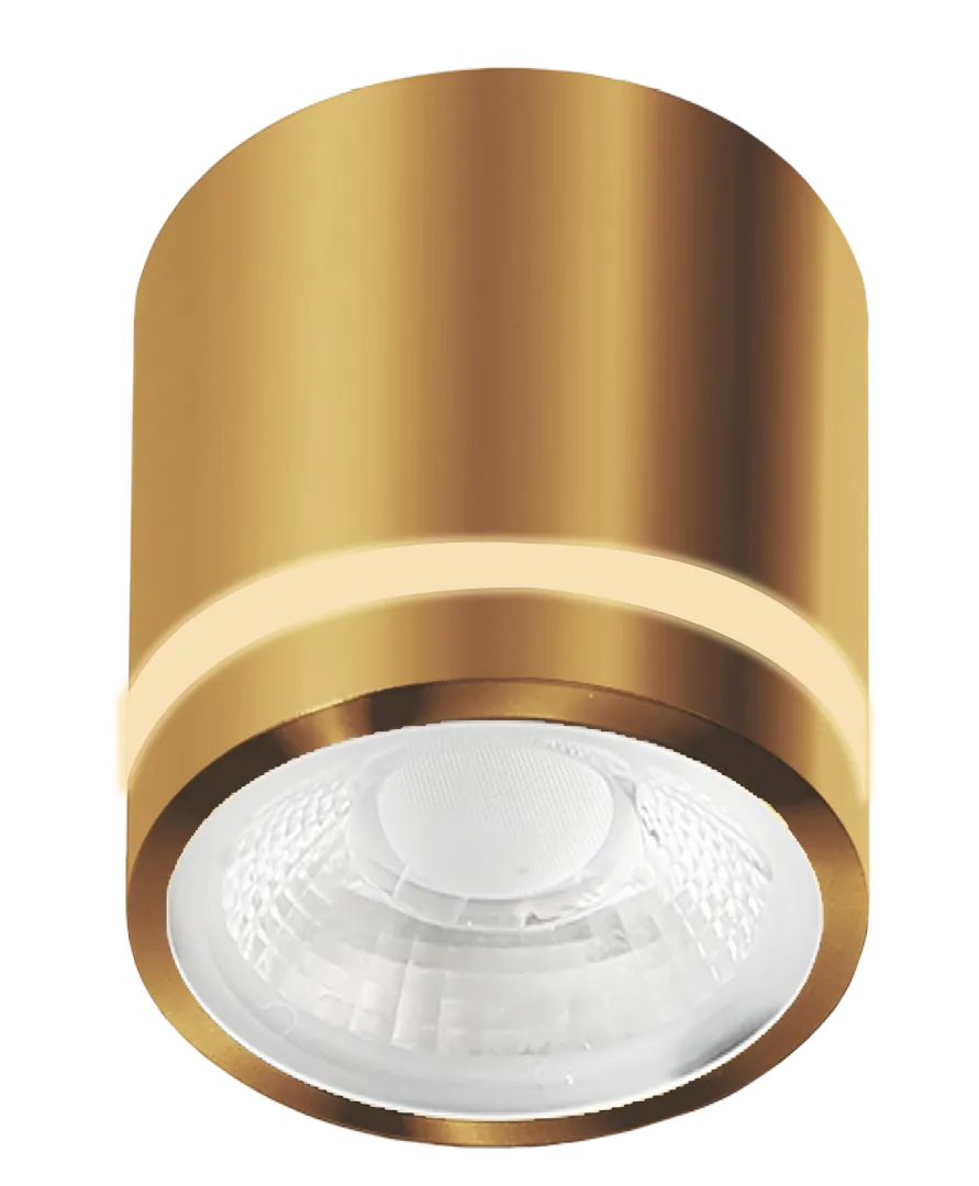 VICI IP44 12W CCT SWITCH GO